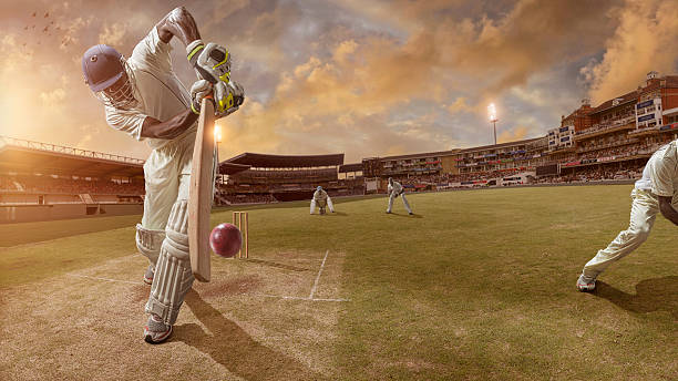 The Influence of IPL on Cricket Coaching Methods