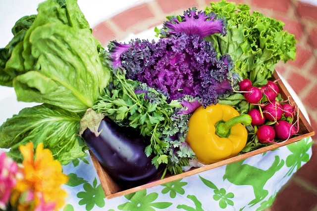 The Health Benefits of Eating More Vegetables