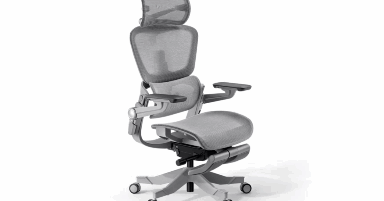 Ergomeister Chair Review: Is It Singapore’s Best Ergonomic Chair?